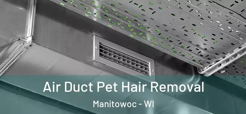  Air Duct Pet Hair Removal Manitowoc - WI