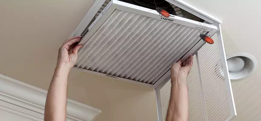 Preventive Cockroach-Proofing for Ducts in Manitowoc