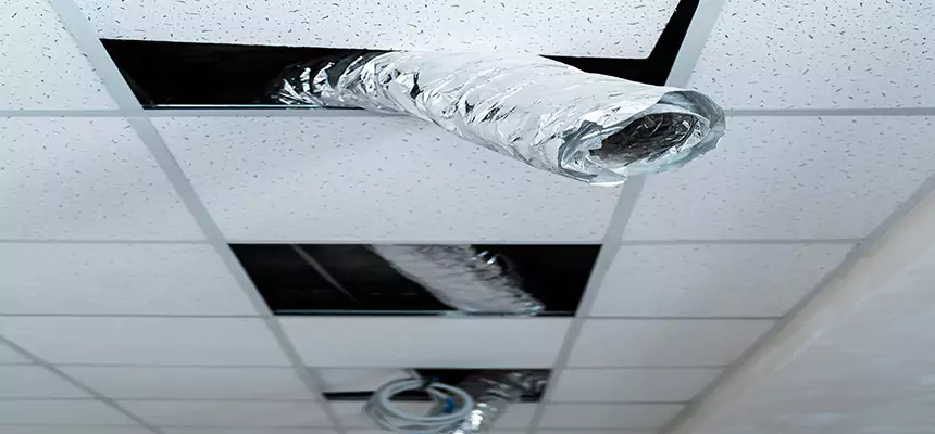 Affordable HVAC Sanitizing After Pest Removal in Manitowoc