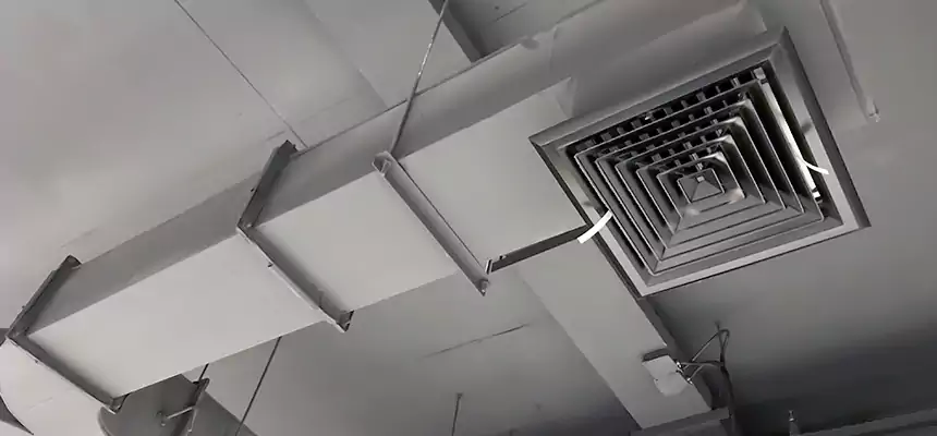 Restorative Allergy Relief Vent Cleaning – Coil, Blower & Housing Detail in Manitowoc