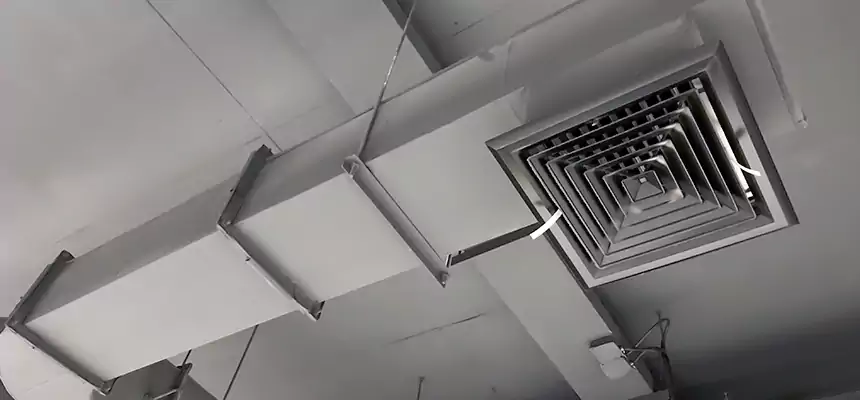 Our Pest Removal From Ducts Services in Manitowoc, WI