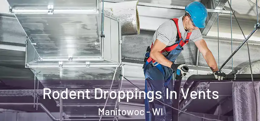  Rodent Droppings In Vents Manitowoc - WI