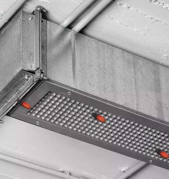 About Air Duct Cockroach Removal in Manitowoc, WI