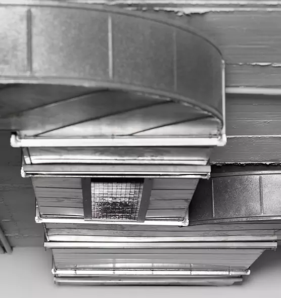 Professional Air Duct Pest Removal in Manitowoc, WI