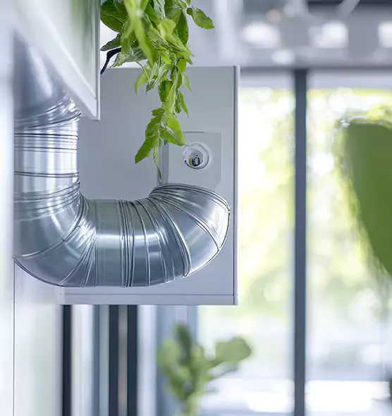 Professional Eco-Safe Dryer Vent Cleaning in Manitowoc, WI