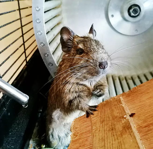 Why Homeowners & Businesses Trust Us Manitowoc, WI