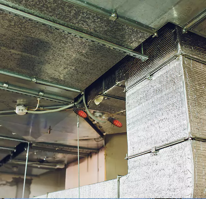 Why Homeowners & Businesses Trust Us Manitowoc, WI?